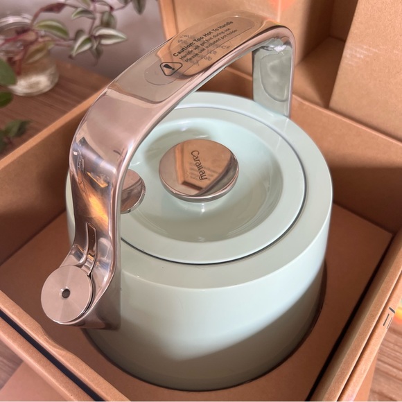 Caraway Whistling Tea Kettle - Picture 11 of 11